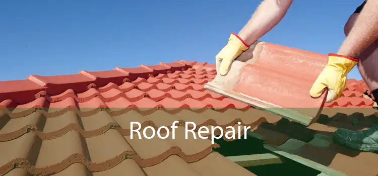 Roof Repair 